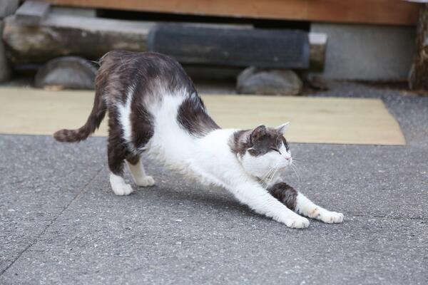 グループホーム上埴生の郷（パート）の介護職求人サブ写真3