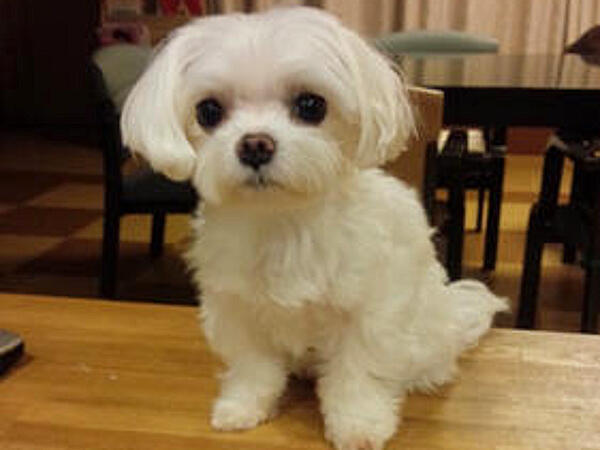 グループホーム 銀らんの丘（管理者候補/常勤）の介護福祉士求人の写真