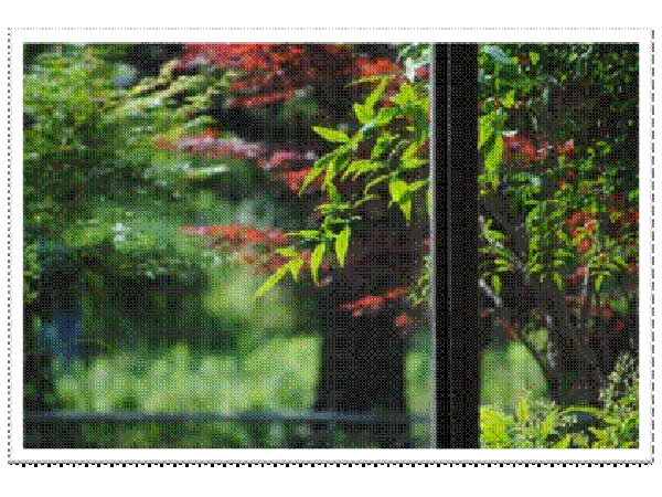 特別養護老人ホーム白光苑(正社員)の社会福祉士求人サブ写真1