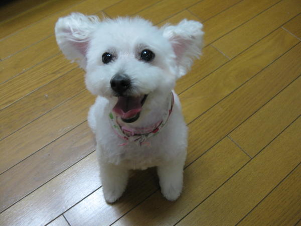 グループホーム 磯風の謡（管理者候補/常勤）の介護福祉士求人の写真