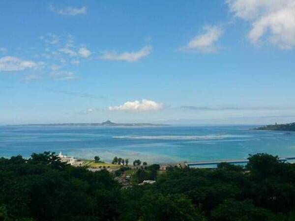 特別養護老人ホーム本部園（常勤）の准看護師求人の写真