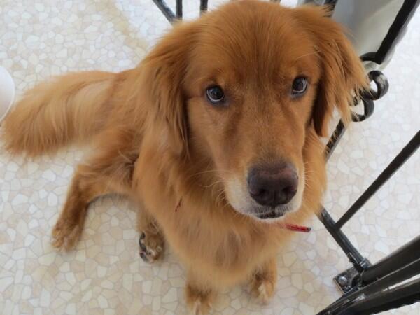 特別養護老人ホームあづきもち(常勤)の介護福祉士求人サブ写真1