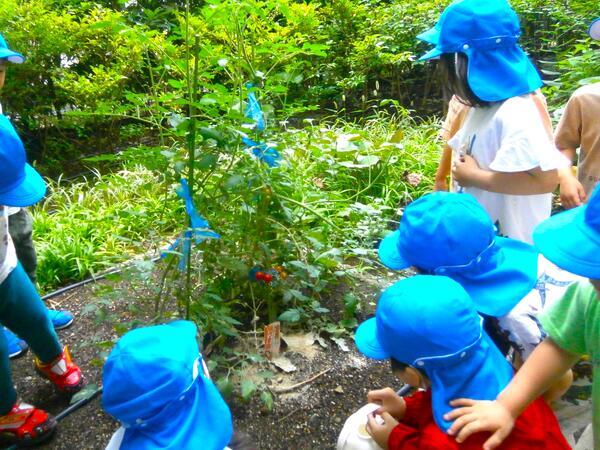 赤坂山王保育園（パート）の保育士求人サブ写真3