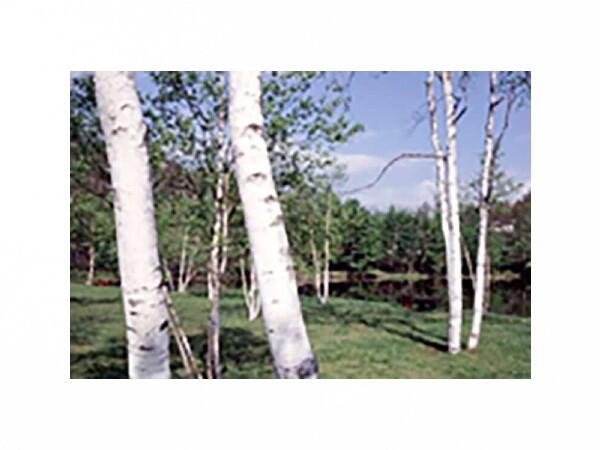 介護老人保健施設一心館(生活相談員/常勤)の社会福祉主事任用求人サブ写真2