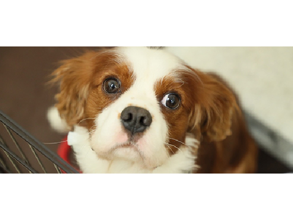 有料老人ホームちからいっぱい（夜勤専従パート）の介護福祉士求人の写真