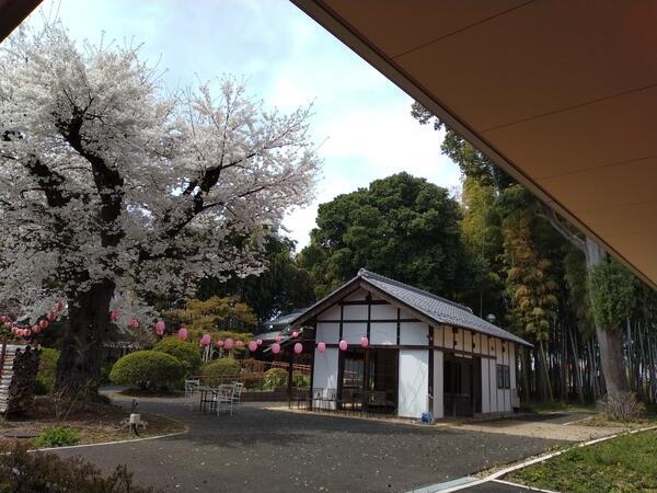 特別養護老人ホームはるぱてお大宮（パート）の介護福祉士求人サブ写真2
