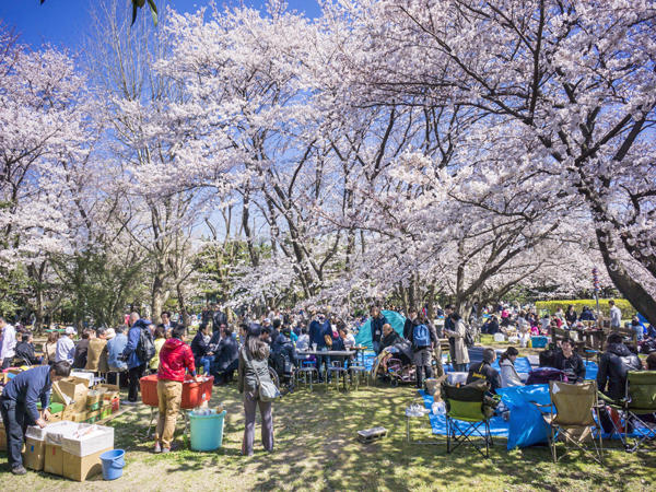 浦安市基幹相談支援センター(相談員/パート)の精神保健福祉士求人サブ写真1