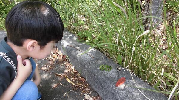 児童発達支援 どーむ（パート）の保育士求人メイン写真4