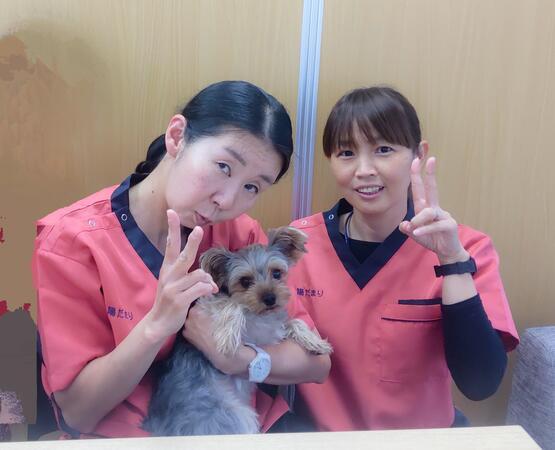 陽だまり看護ステーション（常勤） の作業療法士求人メイン写真3