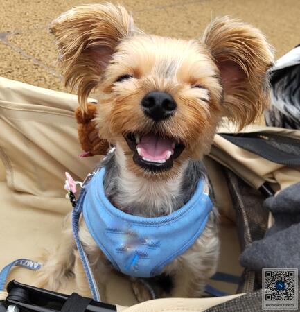 陽だまり看護ステーション（常勤）の理学療法士求人サブ写真1