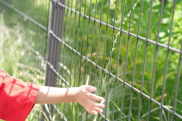 小規模認可保育園 あーす保育園中野新橋（常勤）の保育士求人サブ写真1