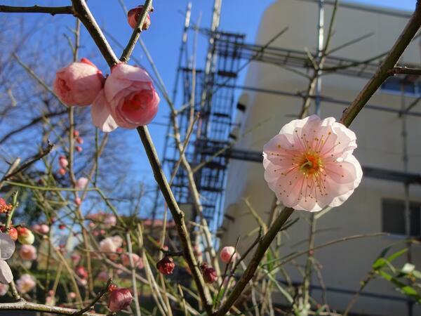 養護老人ホームひかり隣保館（常勤）の介護福祉士求人の写真