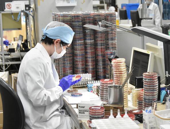  国際治験ラボ (株)ビー・エム・エル（細菌検査室/正社員）の臨床検査技師求人の写真