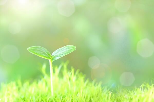 アテニティ玉川学園（常勤）の看護師求人サブ写真2