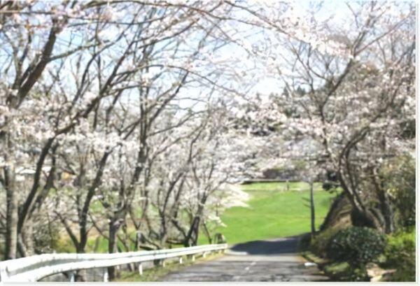 博悠会温泉病院（常勤）の言語聴覚士求人メイン写真2