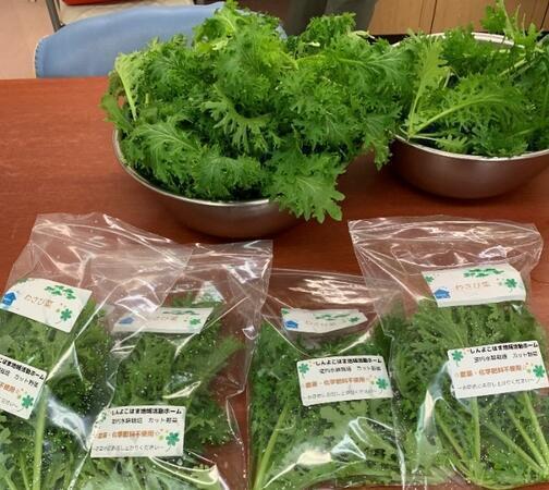 しんよこはま地域活動ホーム（常勤） の支援員求人サブ写真2