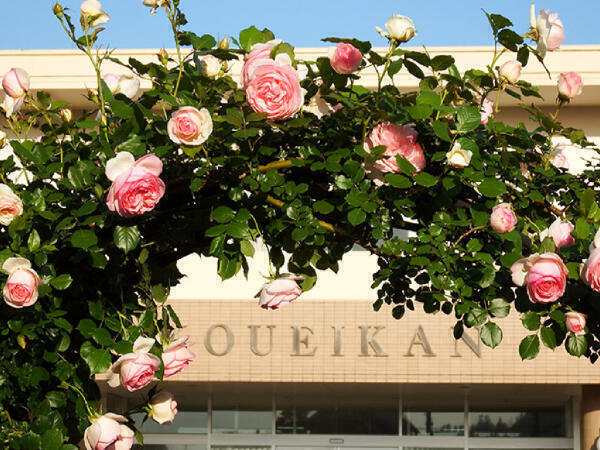 三芳病院（パート）の作業療法士求人メイン写真5