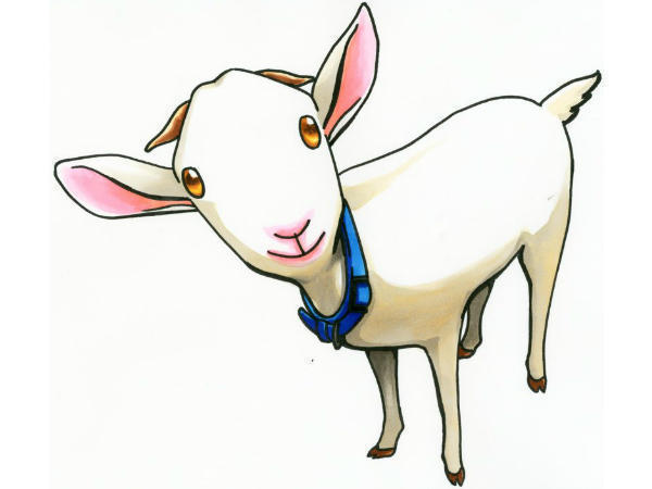 地域密着型特別養護老人ホーム そのさと(早番遅番/パート)の介護職求人サブ写真1