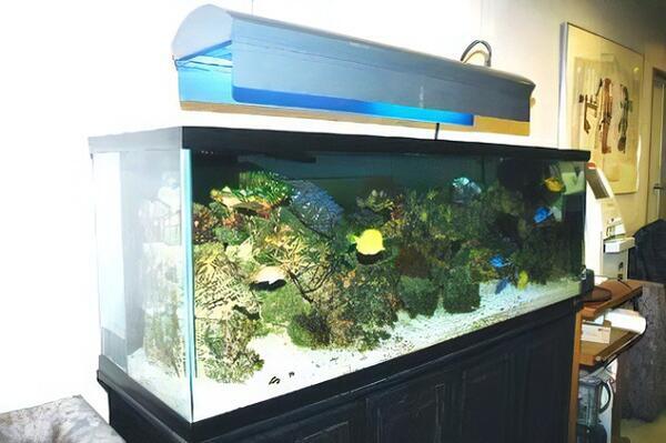 喜多整形外科（常勤）の看護師求人メイン写真2