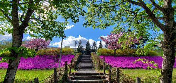 鶯宿温泉病院（常勤）の介護福祉士求人メイン写真4