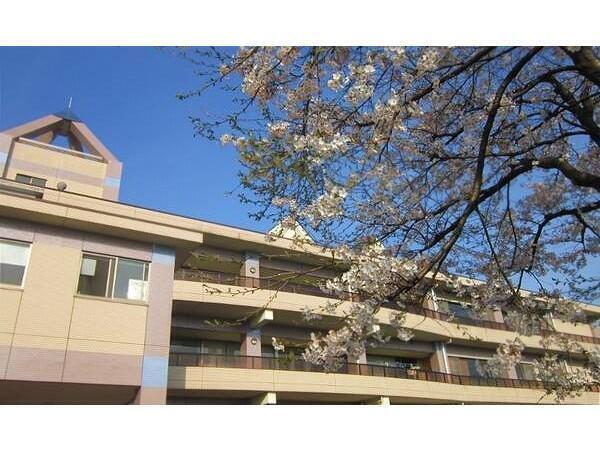 介護老人保健施設 秋桜の家（パート）の介護職求人メイン写真2