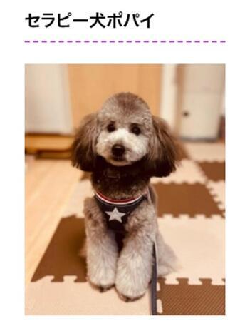 住宅型有料老人ホーム 湯の郷てんすい（常勤）の介護職求人メイン写真3