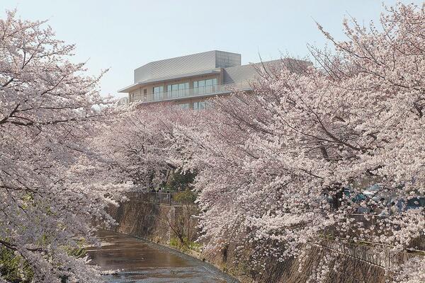 訪問看護ステーションまちだ正吉苑（パート） の准看護師求人の写真