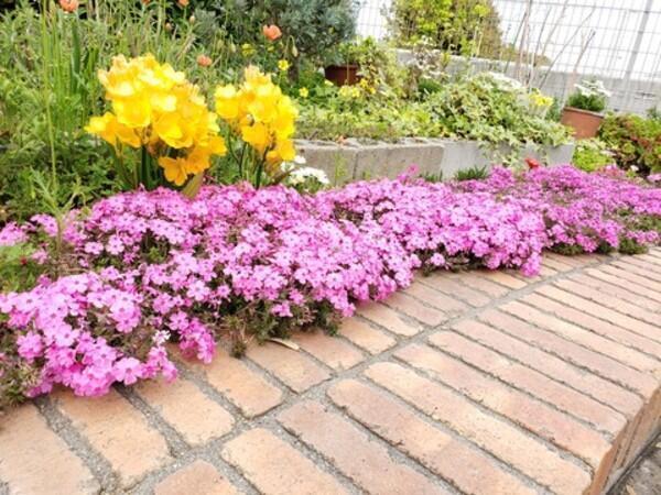 特別養護老人ホーム 四条畷荘（パート）の看護師求人メイン写真3