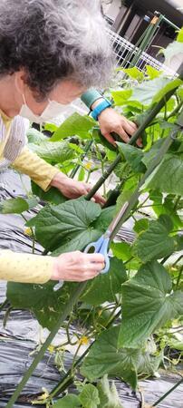 ラ・メゾン桃山台（パート）の医療事務求人メイン写真4