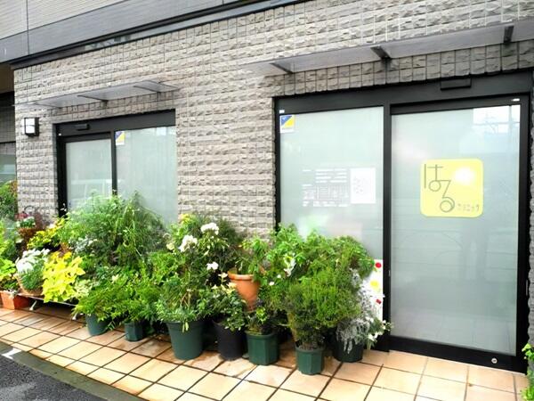 はるクリニック（常勤）の准看護師求人メイン写真2