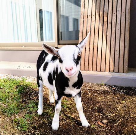 北所沢病院（パート）の調理補助求人メイン写真5