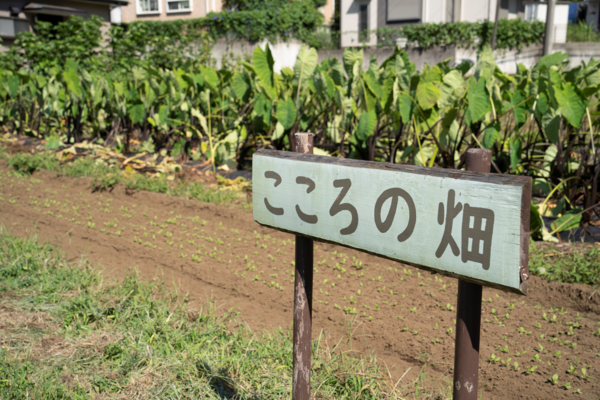 悠翔会在宅クリニックココロまち診療所（常勤）の看護師求人メイン写真3