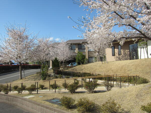 介護老人保健施設葵の園・大宮（パート）の看護師求人メイン写真2