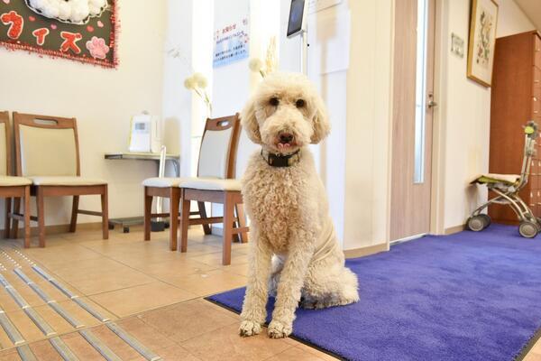 サービス付き高齢者向け住宅 ウィズ・ワン成田（パート）の一般事務求人メイン写真2