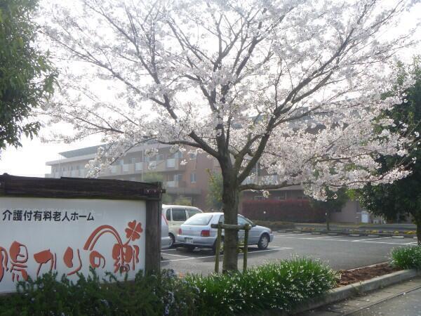 介護付有料老人ホーム 陽かりの郷（常勤）の准看護師求人メイン写真4