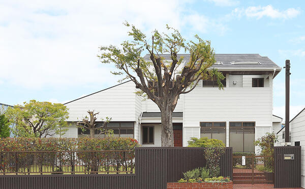 介護老人保健施設 さくら大樹(デイケア/常勤)の看護師求人サブ写真1