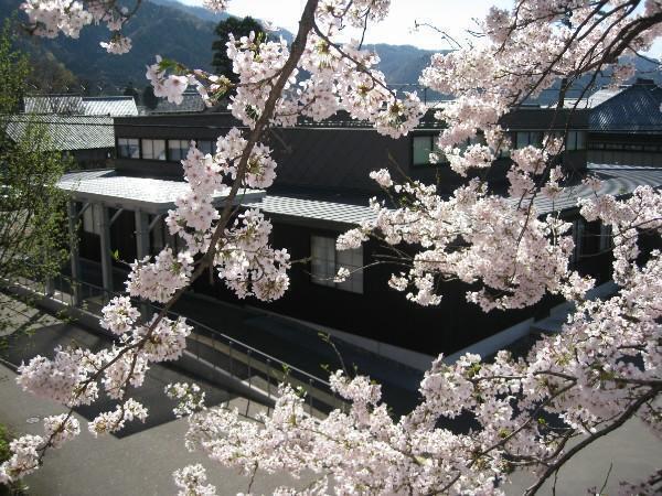 特別養護老人ホーム ひかり苑（パート）の准看護師求人メイン写真2