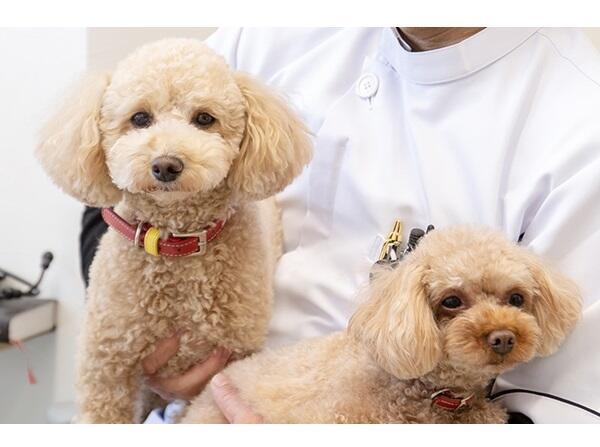 おくだ内科クリニック（パート）の医療事務求人の写真