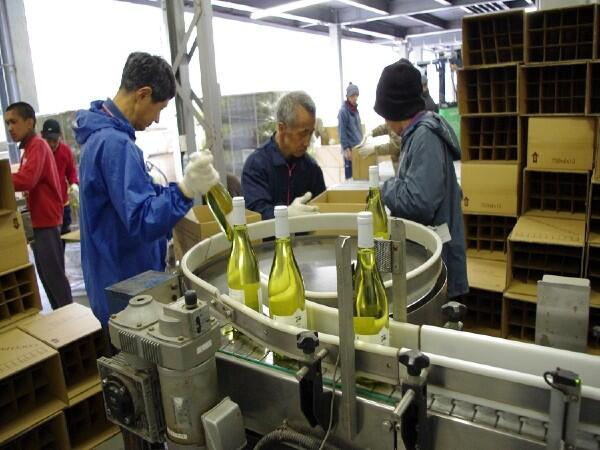  こころみ学園（常勤） の管理栄養士求人メイン写真3