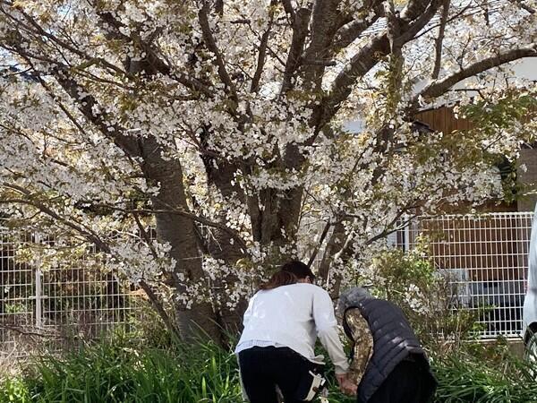 特別養護老人ホーム 白浜日置の郷（常勤）の介護福祉士求人メイン写真4
