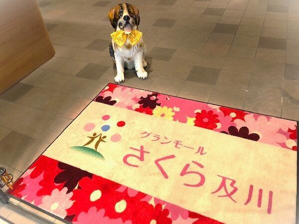 特別養護老人ホーム グランモールさくら及川（生活相談員/常勤） のケアマネジャー求人メイン写真2