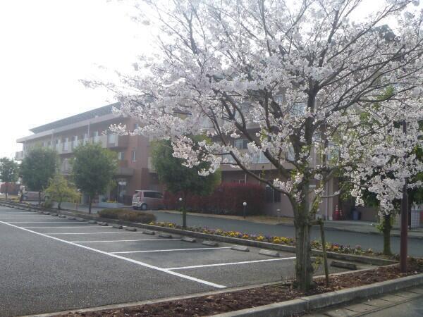 介護付有料老人ホーム 陽かりの郷（常勤）の看護師求人メイン写真3