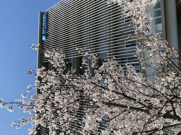 堺平成病院（常勤）の歯科衛生士求人メイン写真2
