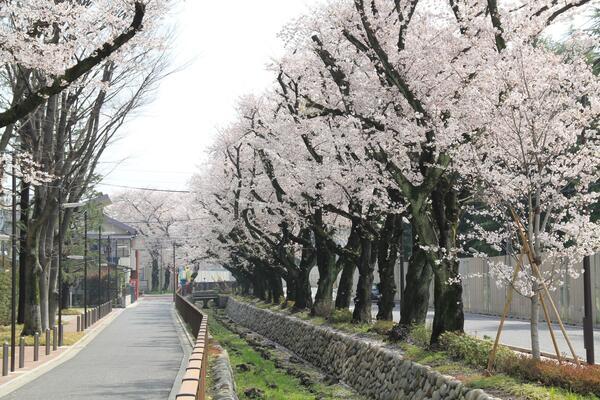 特別養護老人ホーム さくらえん（常勤）の看護師求人サブ写真1