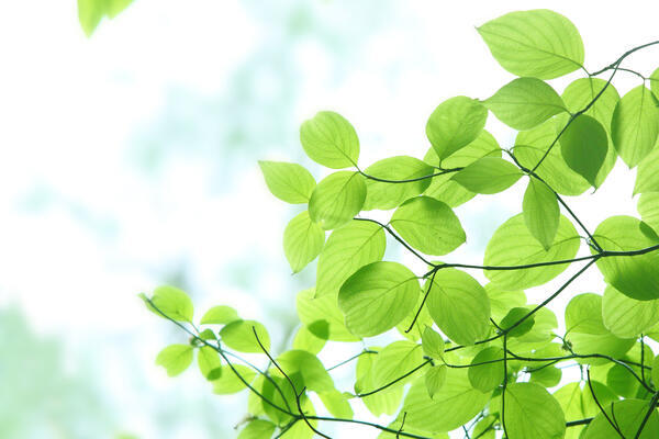 （医）六扇会　訪問介護ステーション足立　せいりょうレジデンス（常勤）の介護職求人サブ写真1