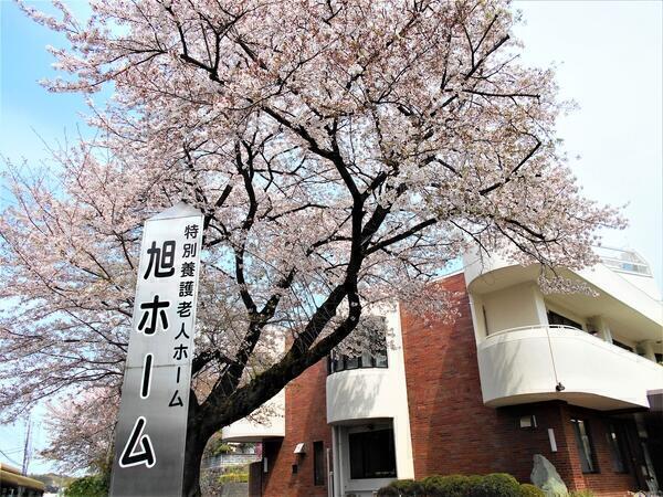 特別養護老人ホーム 旭ホーム（常勤）のケアマネジャー求人の写真