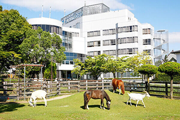 老人保健施設アウン（常勤）の介護福祉士求人メイン写真2