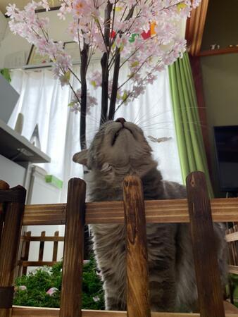 訪問介護事業所 侍(パート)の介護福祉士求人サブ写真5