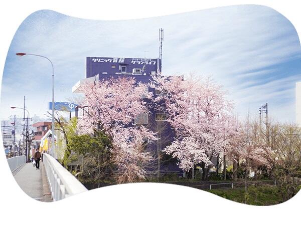 クリニック斎藤（常勤）の医療事務求人メイン写真4