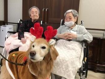 エクセレント横濱桜並木（管理者候補/正社員）の介護福祉士求人メイン写真3